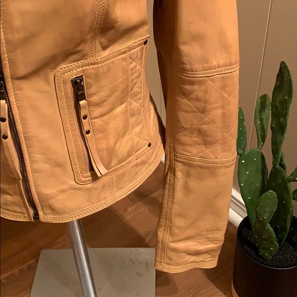 Tan Leather jacket - Picture 4 of 6